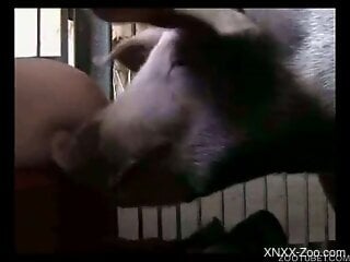 Pig with a really pretty face fucks a horny amateur