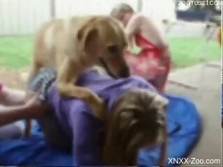 Bitches turn their lesbian kinks into rough zoophilia display