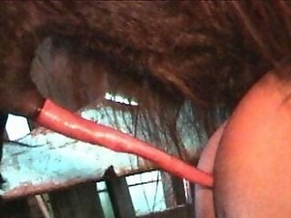 Dog Sex Porn